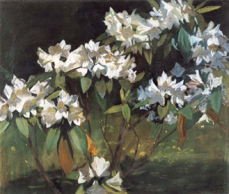 William Stott of Oldham White Rhododendrons oil painting picture